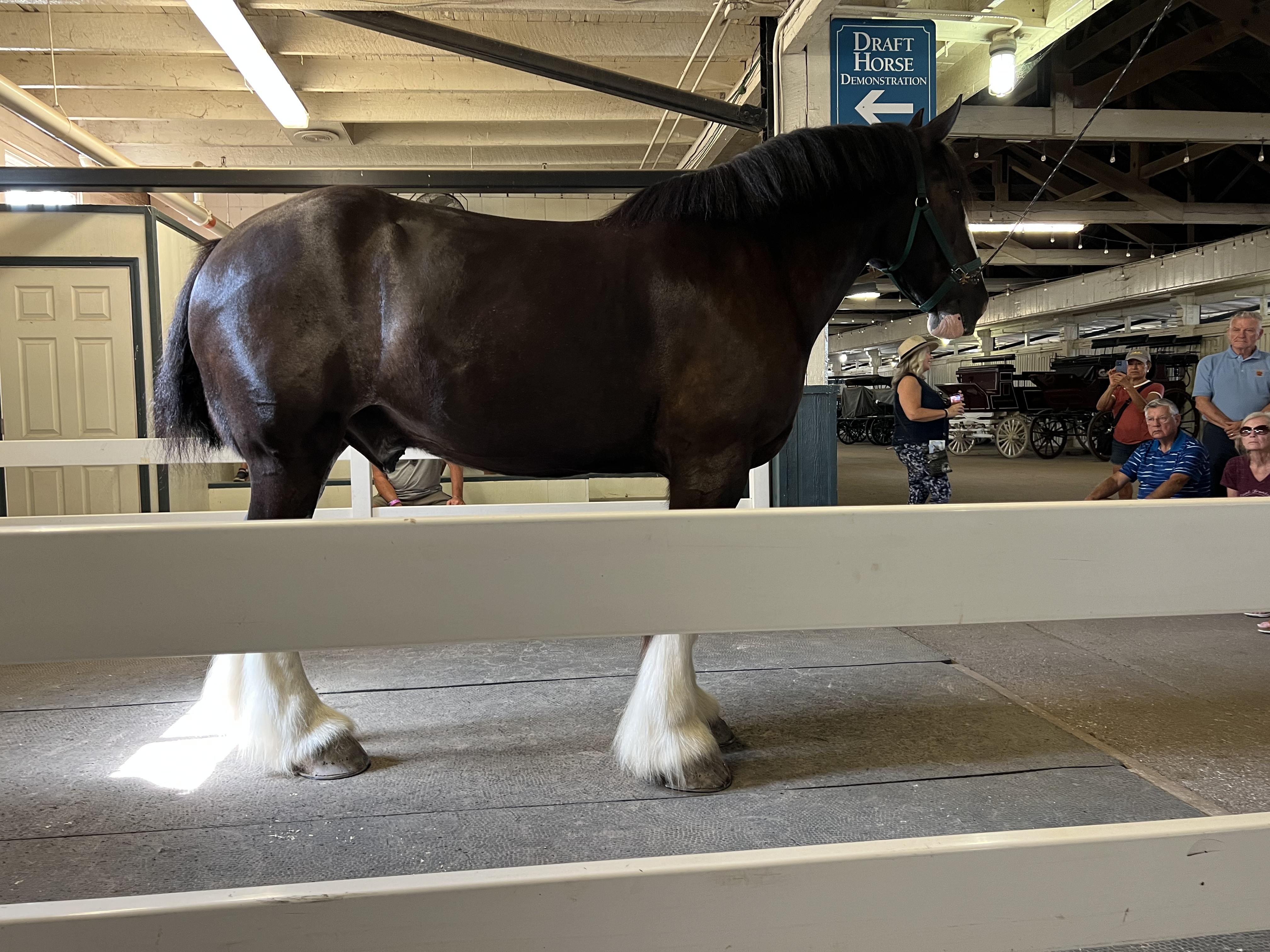 ./2023/12 - Kentucky/IMG_0192.jpg